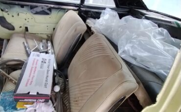 Pontiac-GTO-1965-Coupe-4