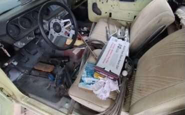 Pontiac-GTO-1965-Coupe-5