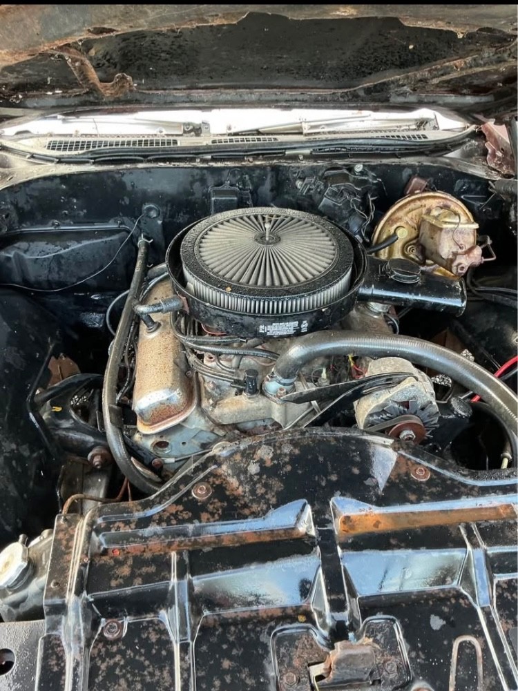 Pontiac-GTO-1968-Convertible-18