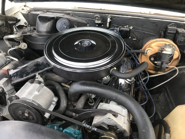 Pontiac-Gto-1966-White-Turquoise-10