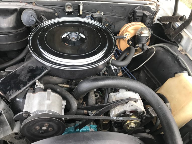 Pontiac-Gto-1966-White-Turquoise-9