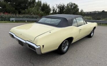 Pontiac-Gto-1968-Mayfair-Maize-Black-10