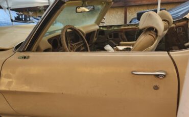 Pontiac-LEMANS-SPORT-1970-Convertible-6