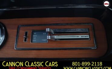 Pontiac-Le-Mans-1965-34