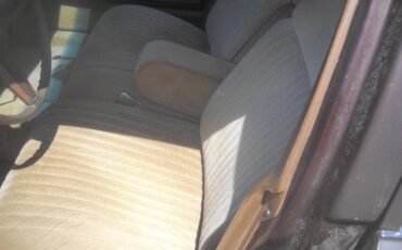 Pontiac-Safari-1988-Wagon-11