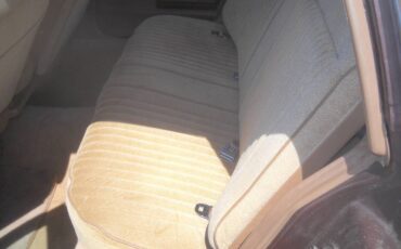 Pontiac-Safari-1988-Wagon-12