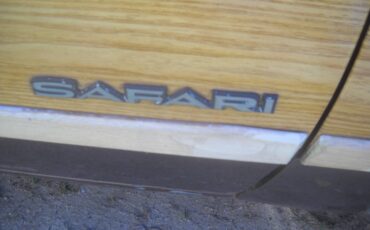 Pontiac-Safari-1988-Wagon-22