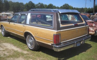 Pontiac-Safari-1988-Wagon-5