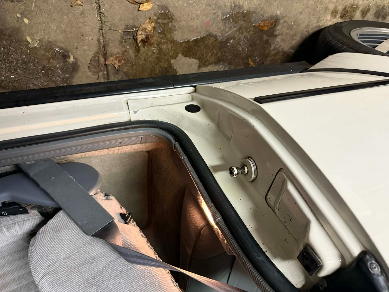 Pontiac-Sunbird-1989-Convertible-22