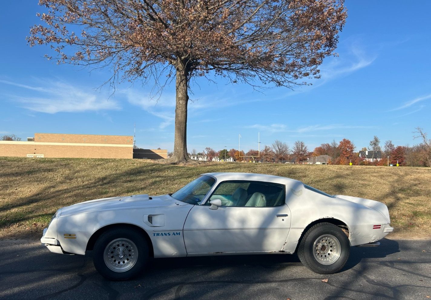 Pontiac-Trans-Am-1974-Coupe