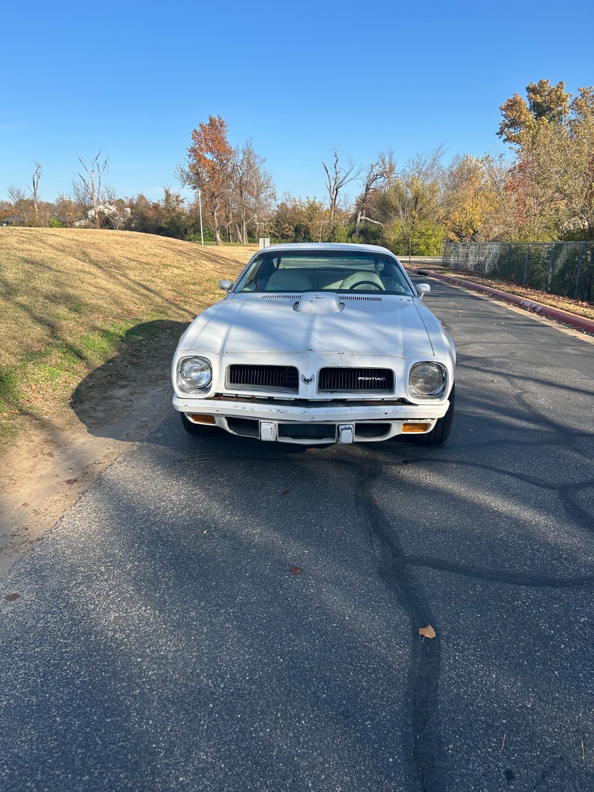 Pontiac-Trans-Am-1974-Coupe-3