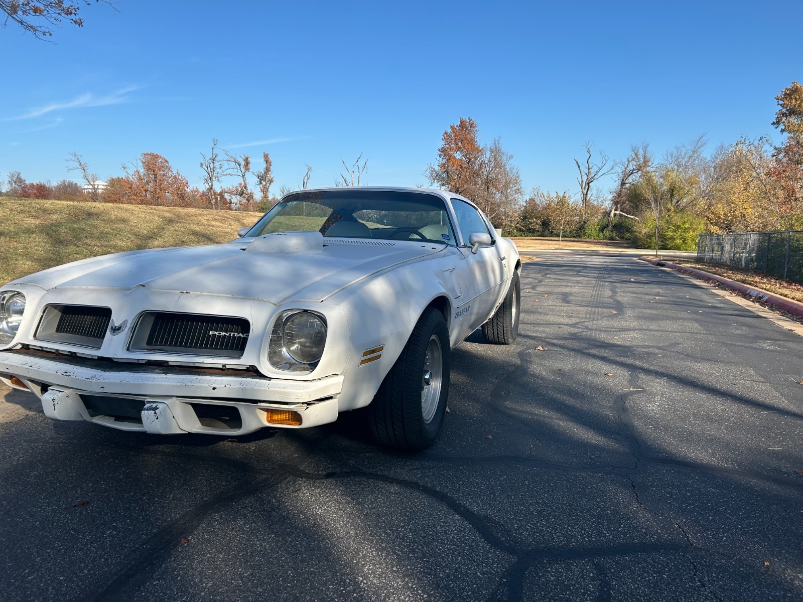 Pontiac-Trans-Am-1974-Coupe-4