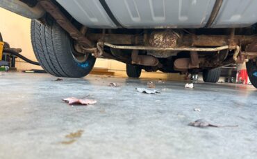 Pontiac-Trans-Am-1974-Coupe-6