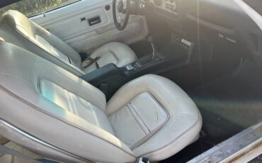 Pontiac-Trans-Am-1974-Coupe-7