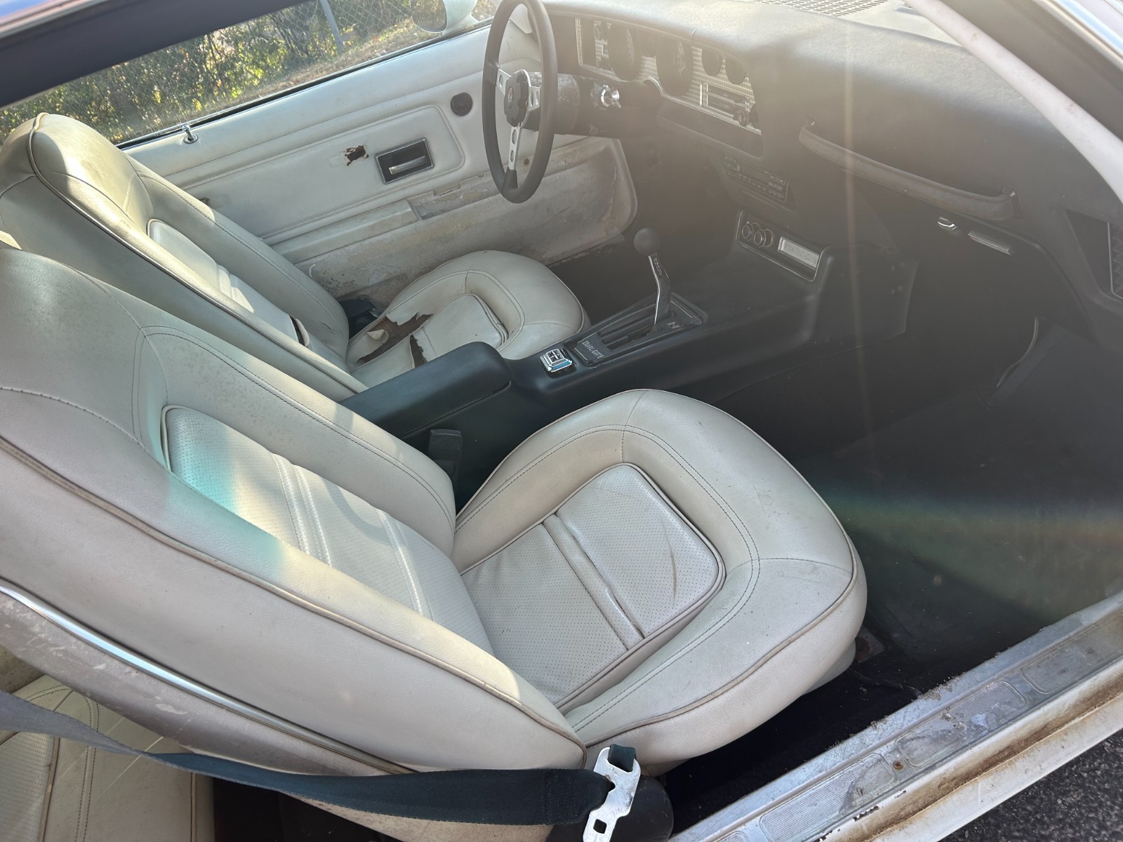 Pontiac-Trans-Am-1974-Coupe-7