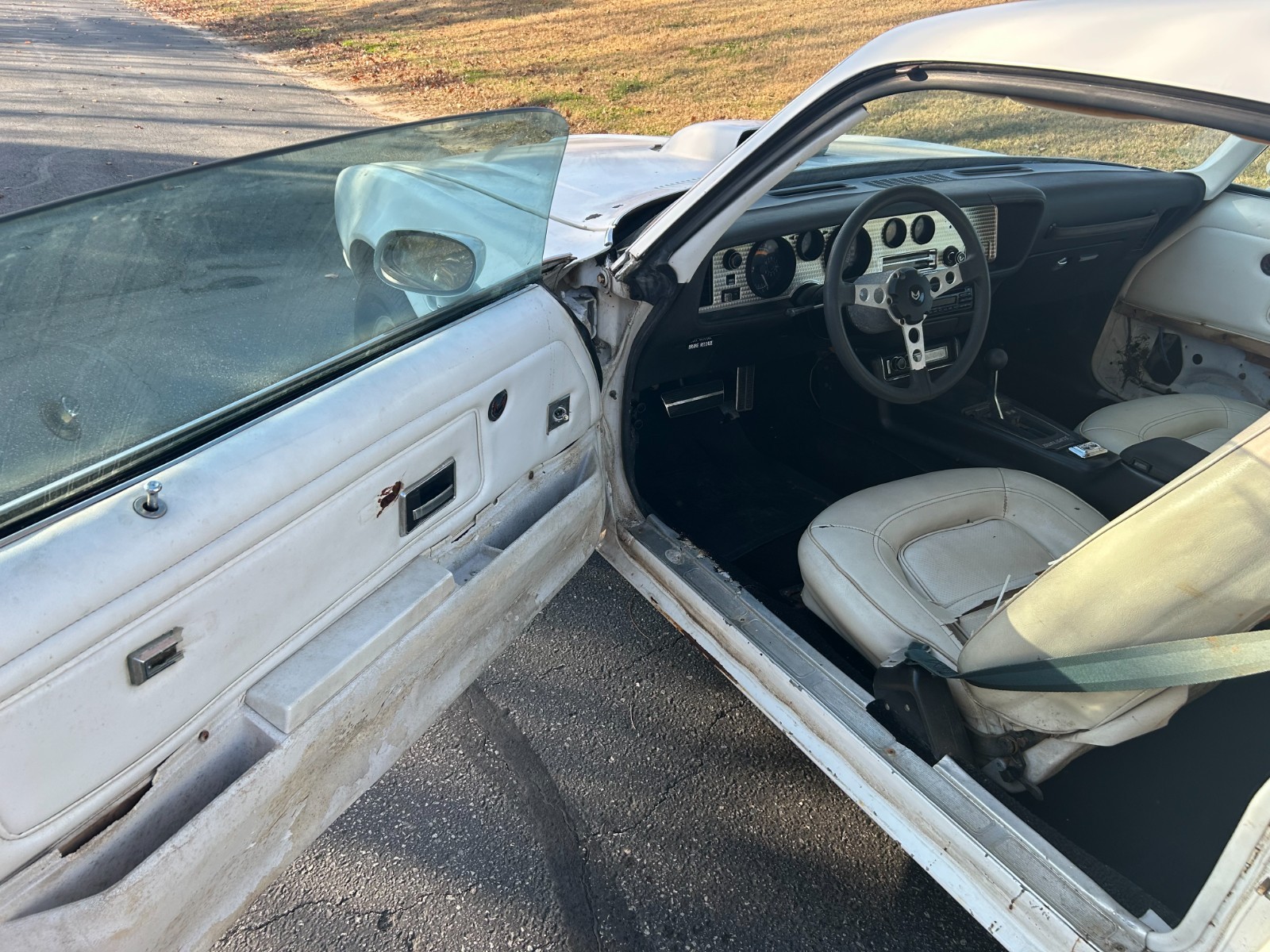 Pontiac-Trans-Am-1974-Coupe-8