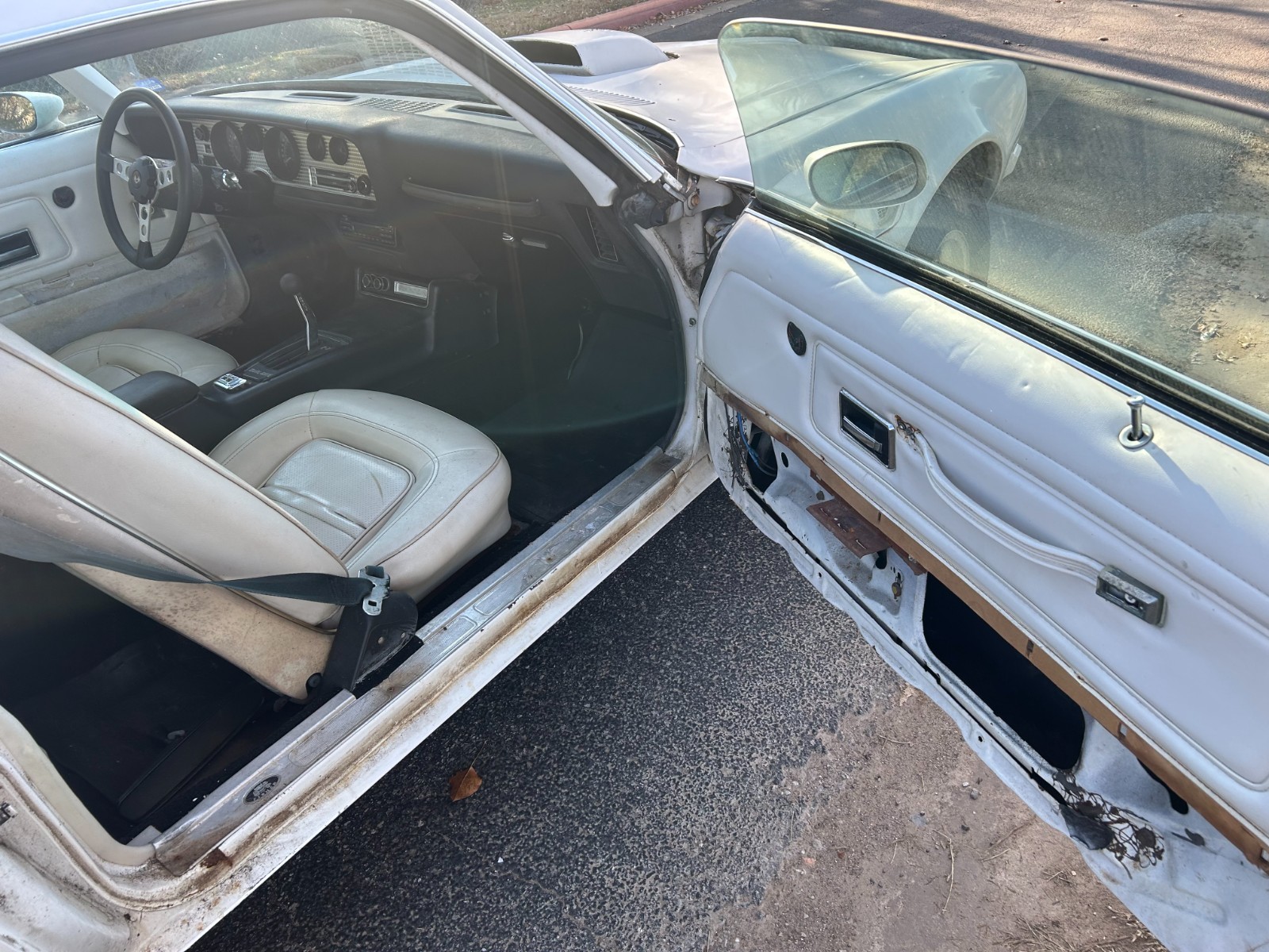 Pontiac-Trans-Am-1974-Coupe-9