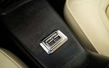 Pontiac-Trans-Am-1975-Coupe-35