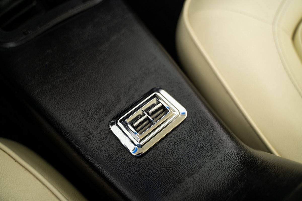 Pontiac-Trans-Am-1975-Coupe-35