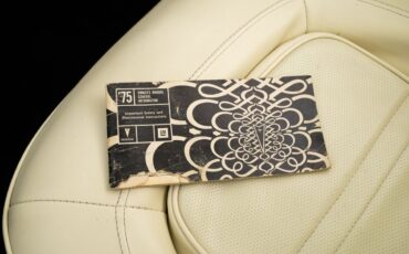 Pontiac-Trans-Am-1975-Coupe-38