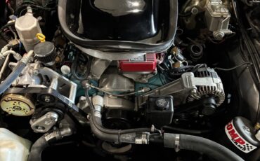 Pontiac-Trans-Am-1978-Coupe-11