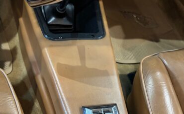 Pontiac-Trans-Am-1978-Coupe-13