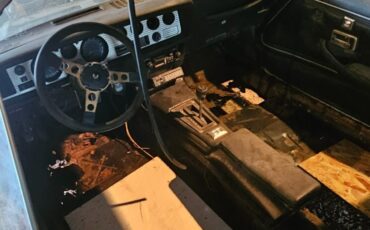 Pontiac-Trans-Am-1978-Coupe-14