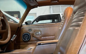 Pontiac-Trans-Am-1978-Coupe-16