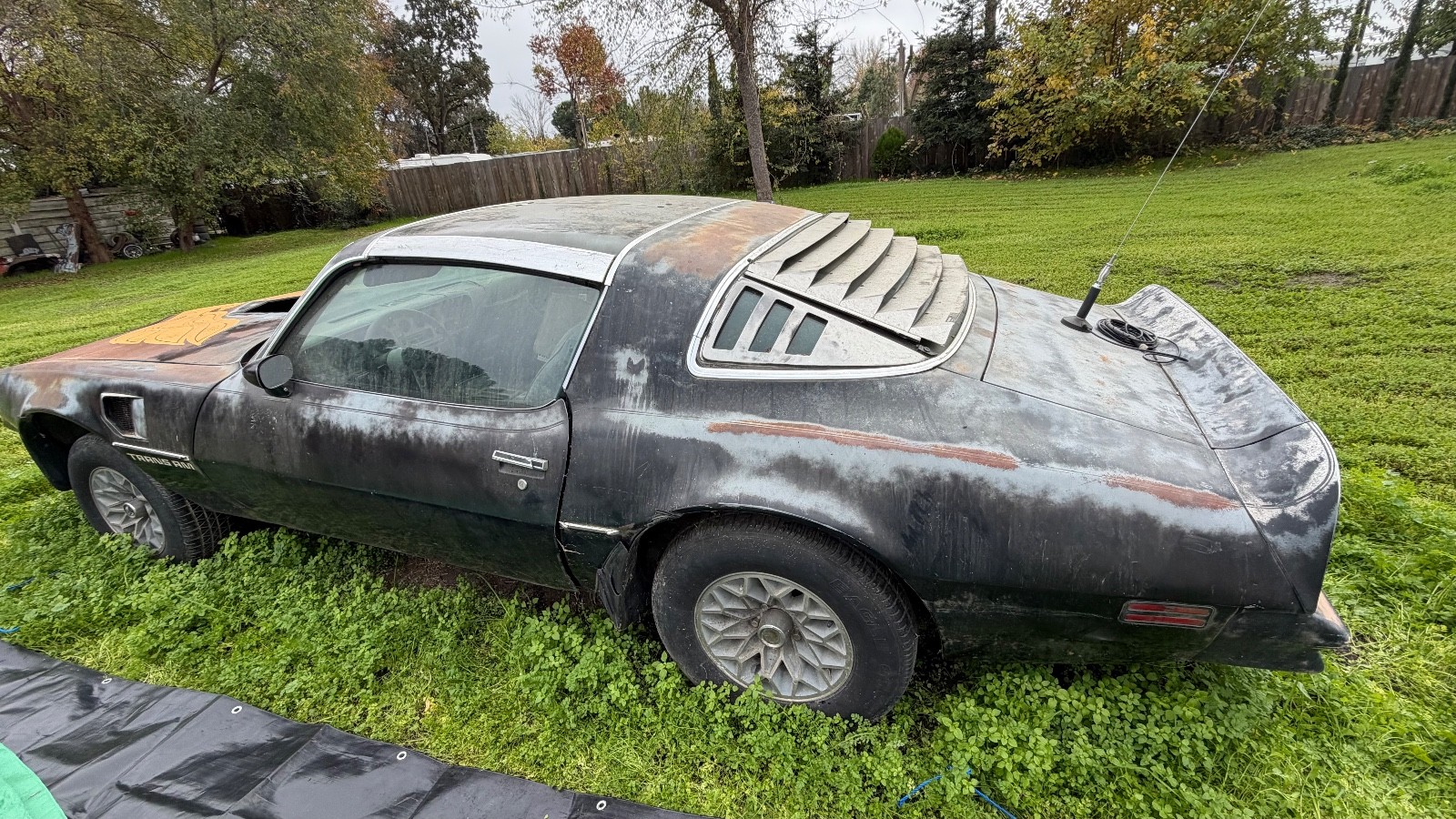 Pontiac Trans Am 1978 Coupe