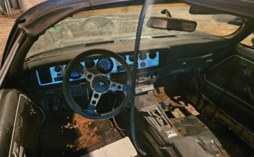 Pontiac-Trans-Am-1978-Coupe-6