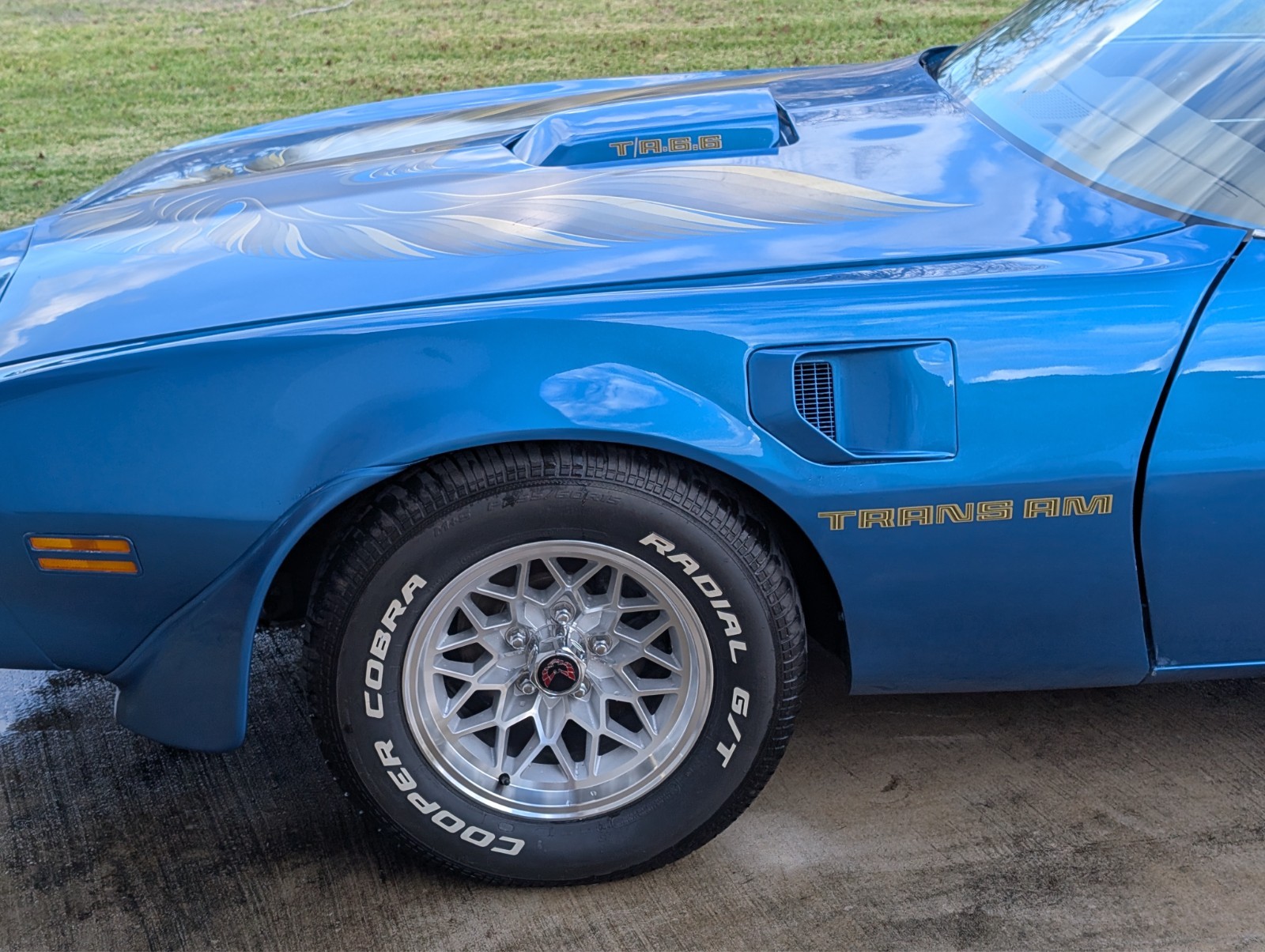Pontiac-Trans-Am-1979-1