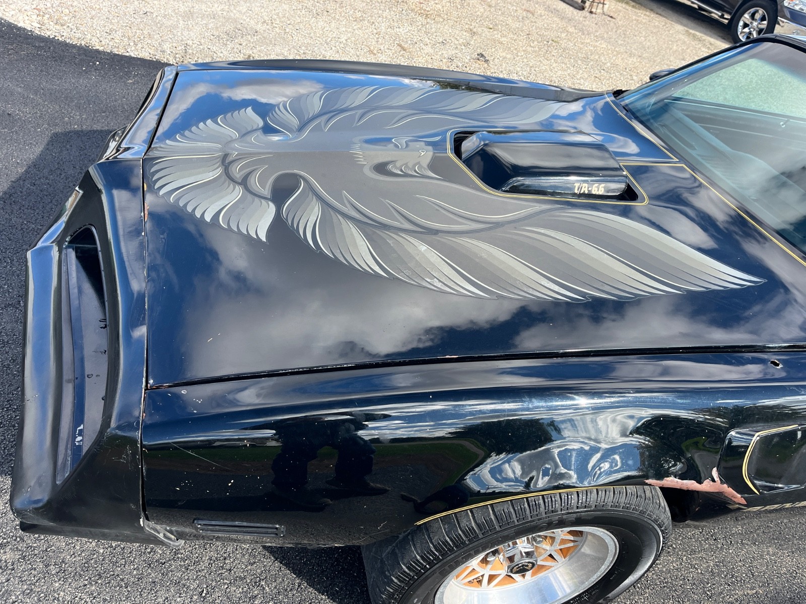 Pontiac-Trans-Am-1979-15