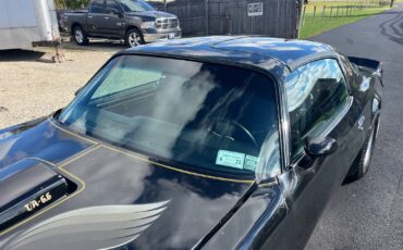 Pontiac-Trans-Am-1979-16