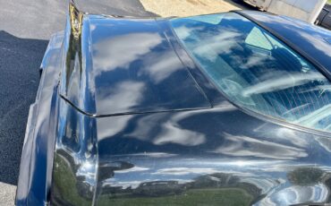 Pontiac-Trans-Am-1979-19