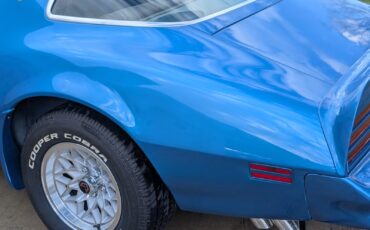 Pontiac-Trans-Am-1979-2