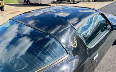 Pontiac-Trans-Am-1979-20