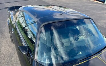 Pontiac-Trans-Am-1979-21