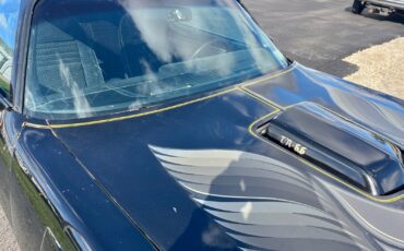 Pontiac-Trans-Am-1979-22