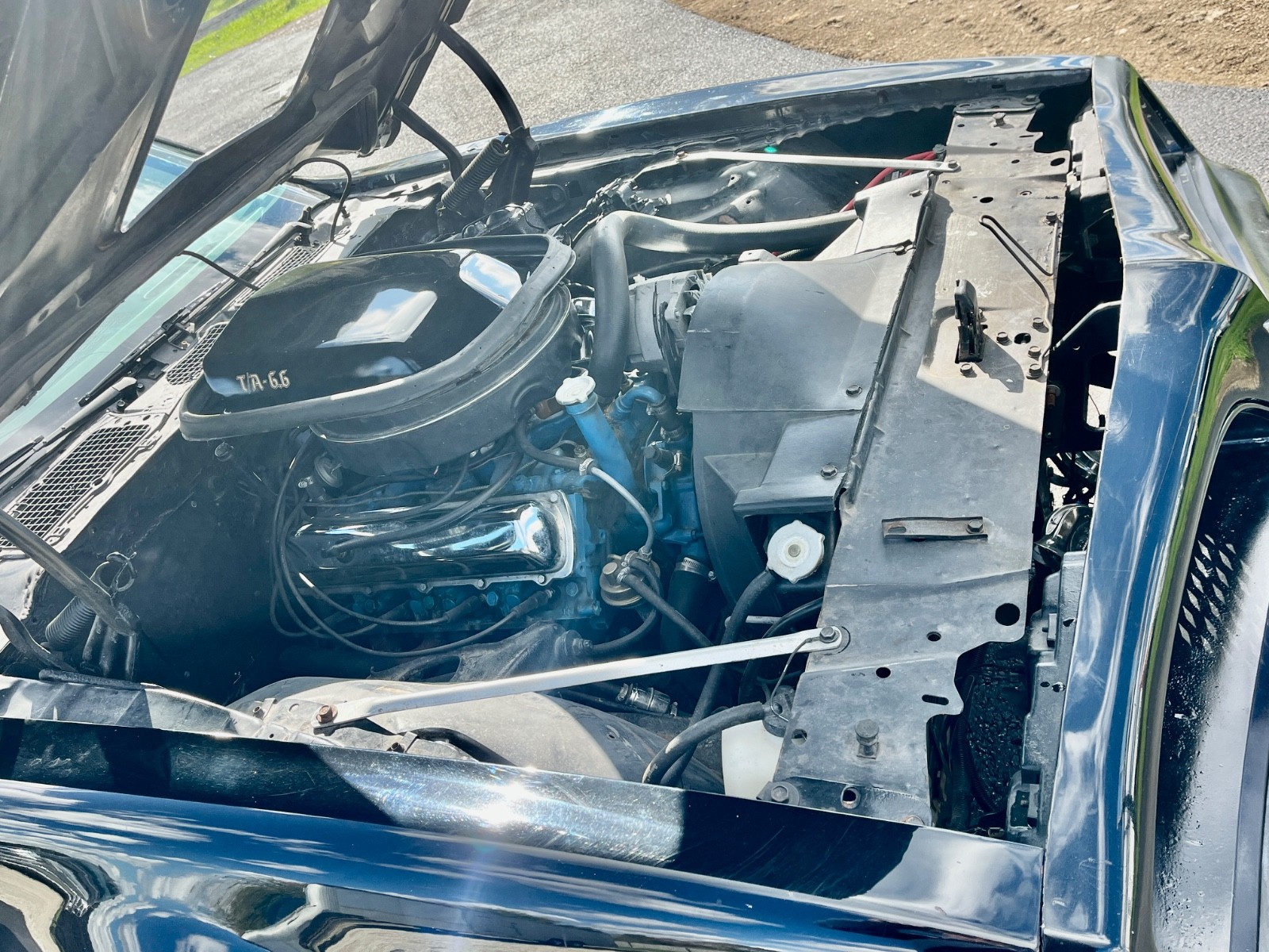 Pontiac-Trans-Am-1979-23