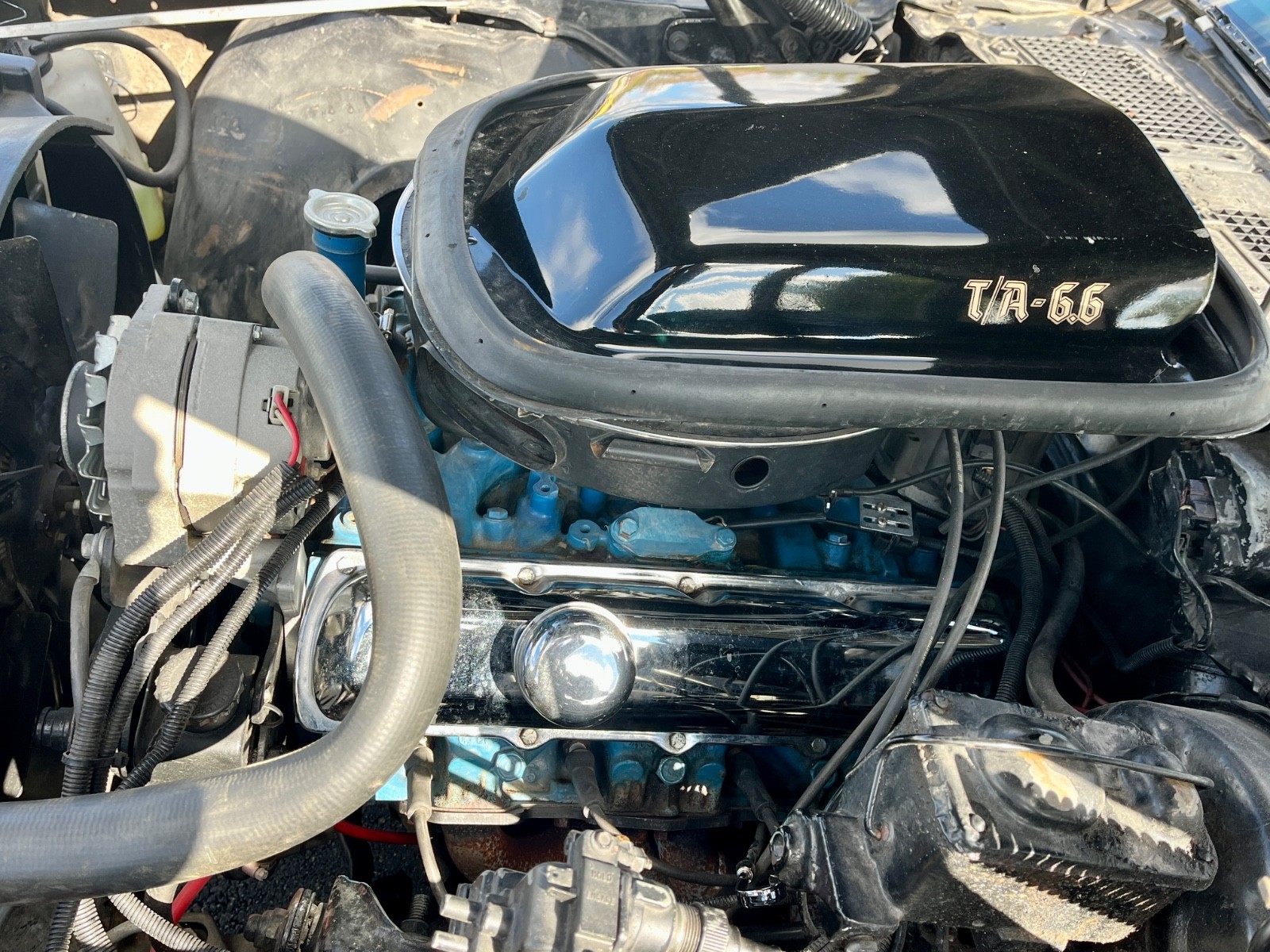 Pontiac-Trans-Am-1979-24