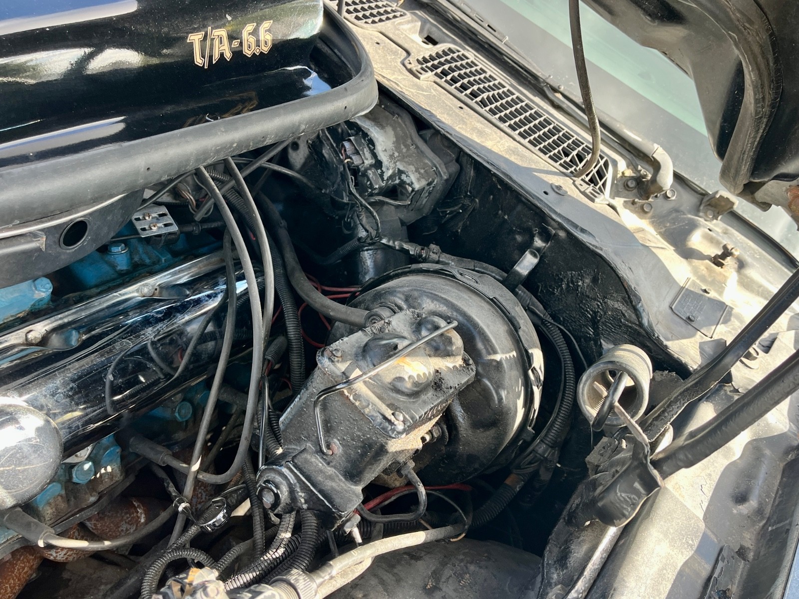 Pontiac-Trans-Am-1979-26