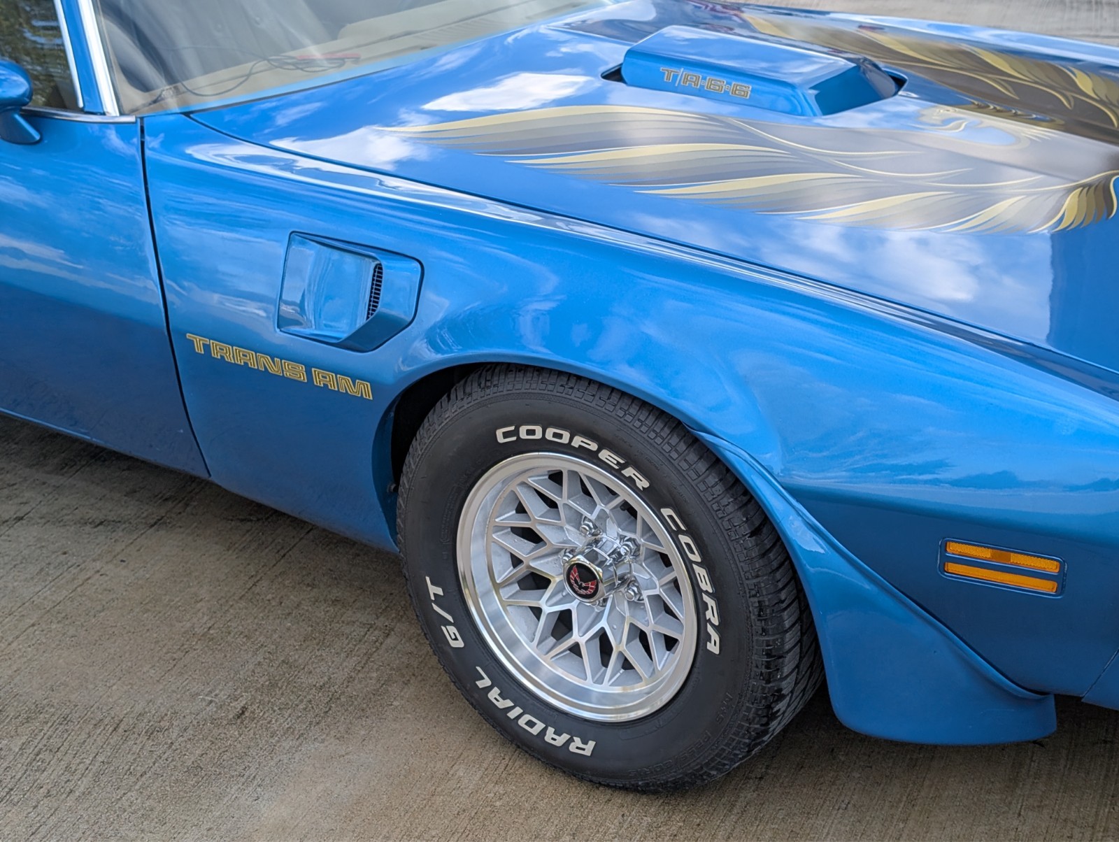 Pontiac-Trans-Am-1979-7