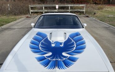 Pontiac-Trans-Am-1980-Coupe-15