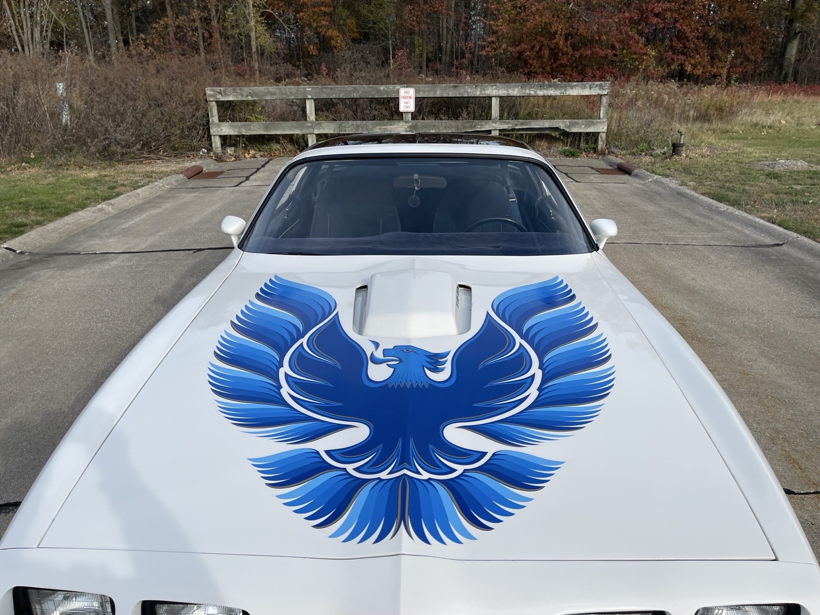 Pontiac-Trans-Am-1980-Coupe-15