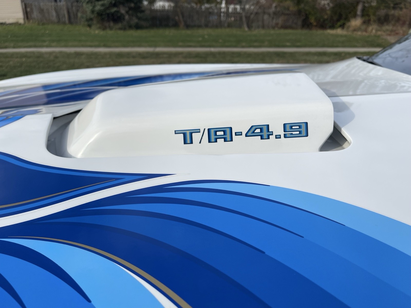 Pontiac-Trans-Am-1980-Coupe-17