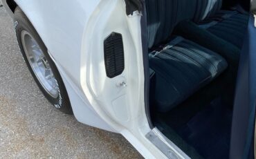 Pontiac-Trans-Am-1980-Coupe-18