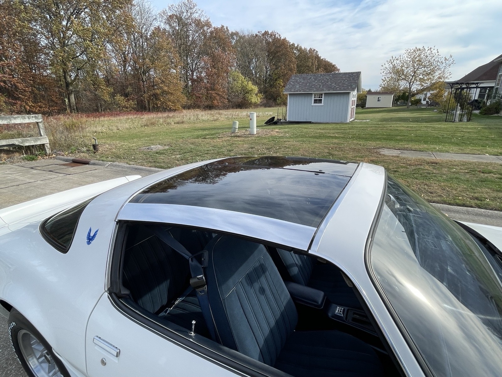 Pontiac-Trans-Am-1980-Coupe-19