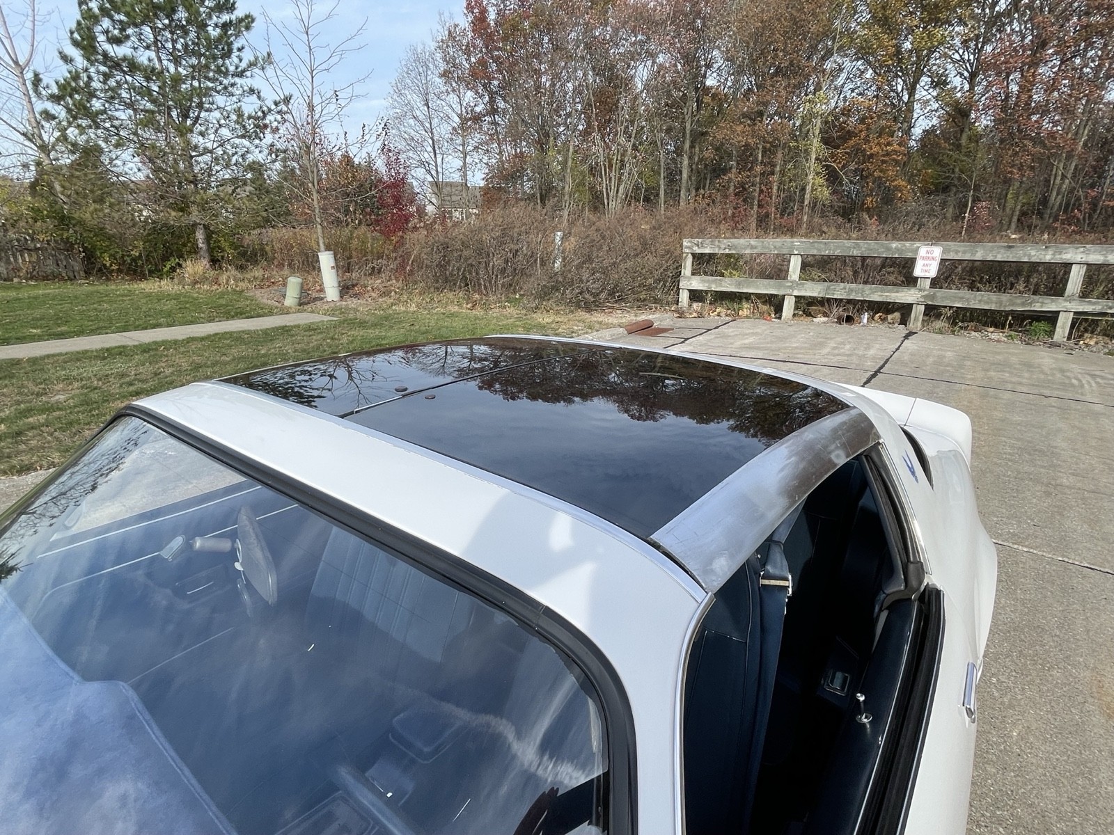 Pontiac-Trans-Am-1980-Coupe-20