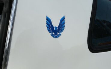 Pontiac-Trans-Am-1980-Coupe-21