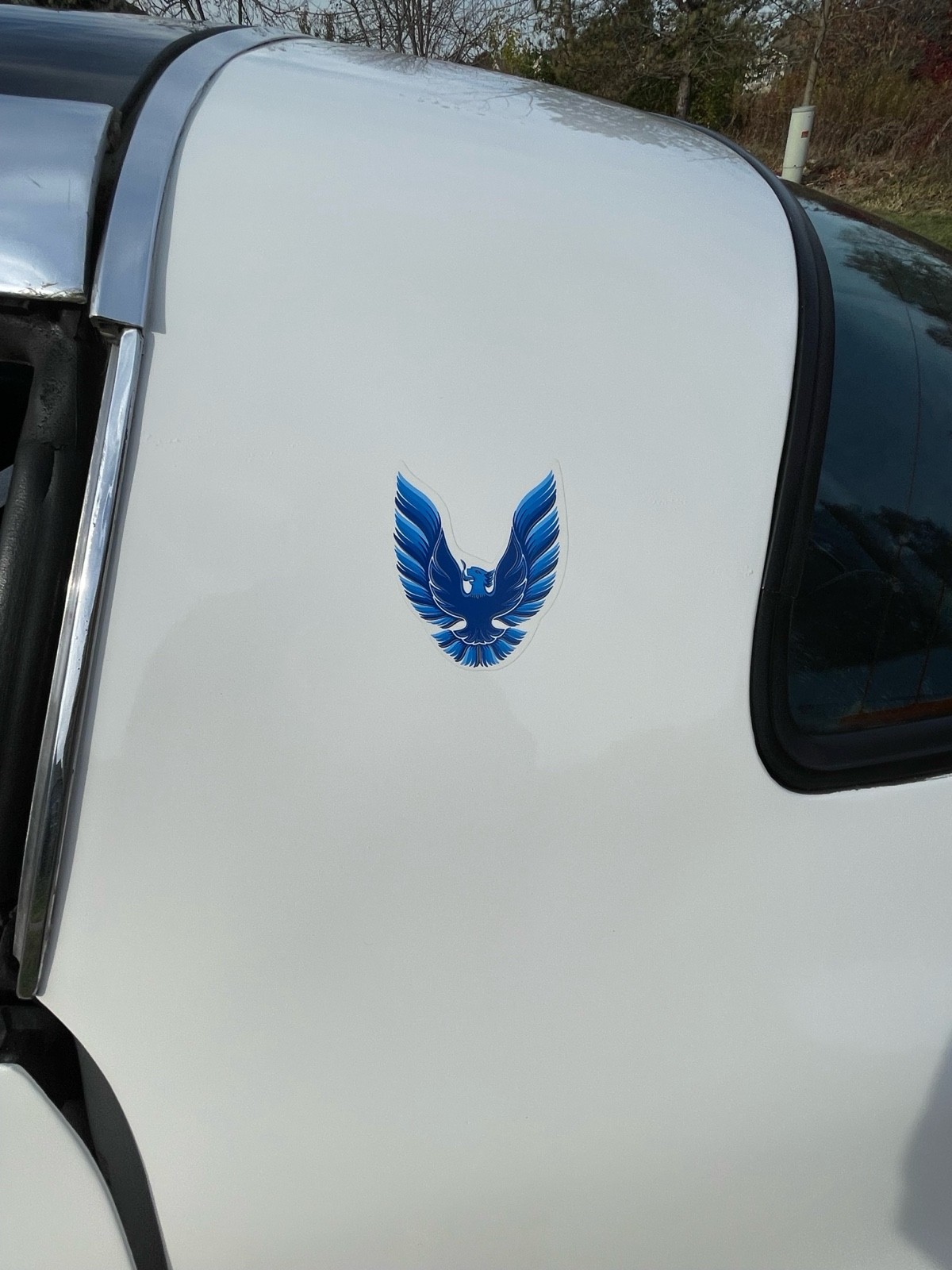 Pontiac-Trans-Am-1980-Coupe-21